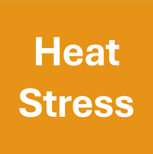 Heat Stress Prevention Program